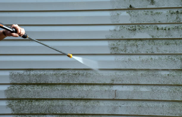 Best Roof Pressure Washing  in Algona, IA