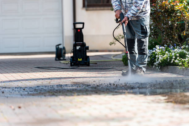 Best Roof Pressure Washing  in Algona, IA